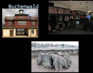 Buchenwald