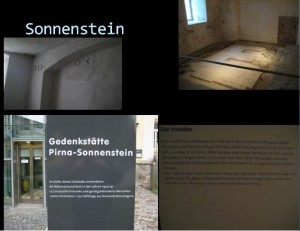 The Museum at Sonnenstein