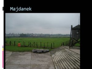 Slide13